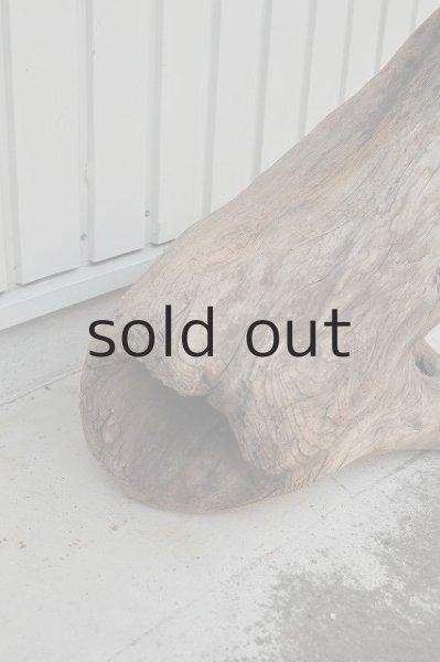 画像3: 大型 根 (3)