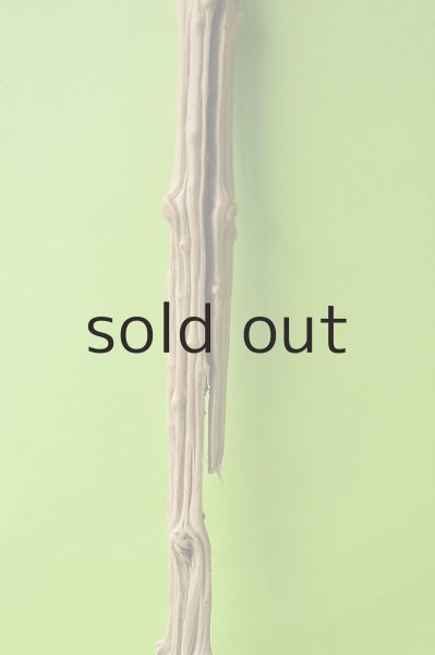 画像3: 幹流木 (3)