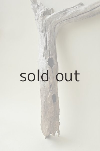 画像2: 枝流木 (2)