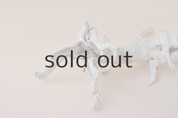 画像3: ミニ流木根 (3)