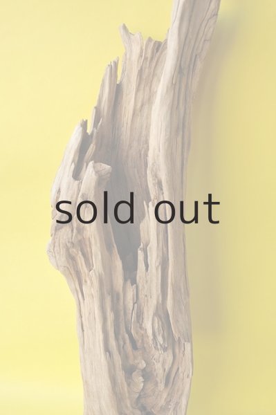 画像2: 大型 変形 (2)