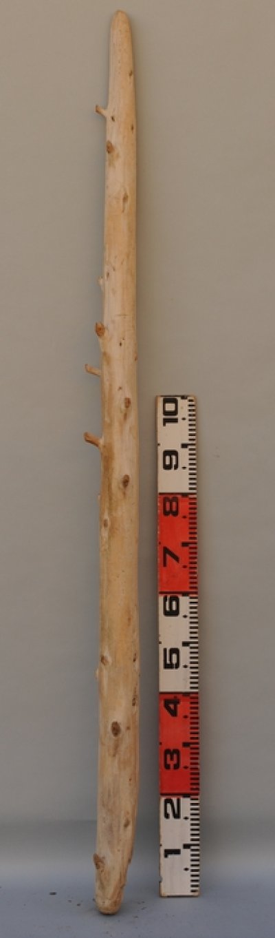 画像3: 大型 幹流木