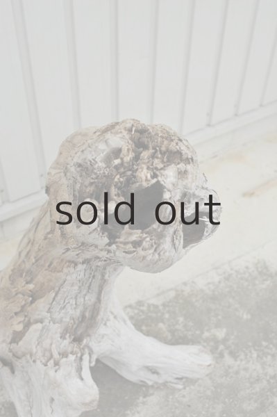 画像3: 大型 根 (3)