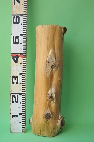 画像3: 幹流木