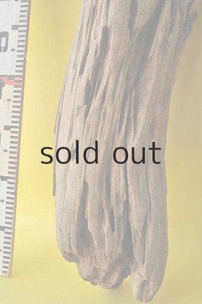 画像5: 大型 変形 (5)