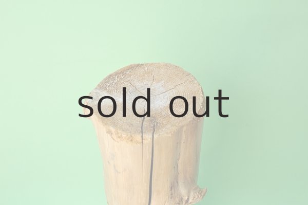 画像4: 幹流木 (4)