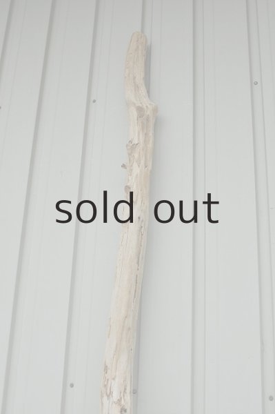 画像4: 大型 変形幹 (4)