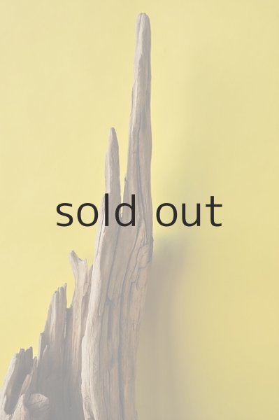 画像4: 大型 変形 (4)