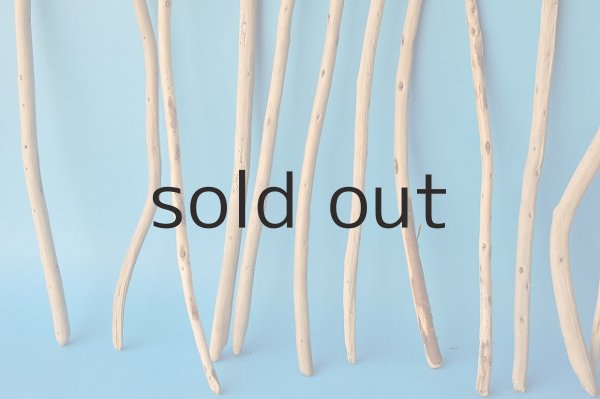 画像2: 棒流木セット (2)