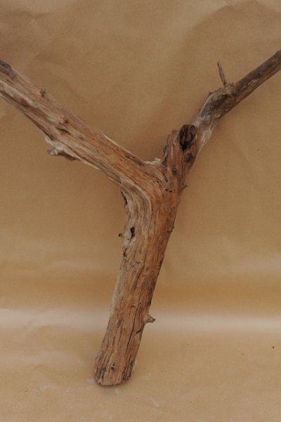 画像1: 大型 枝流木