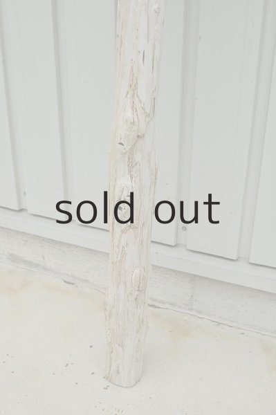 画像2: 大型 変形幹 (2)