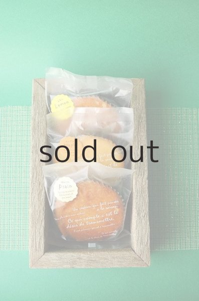 画像2: トロ箱 (2)