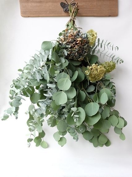 Dry plants for decor ユーカリリース2点（アウトレット含む）、阿波遊木の多肉1点UPしました。