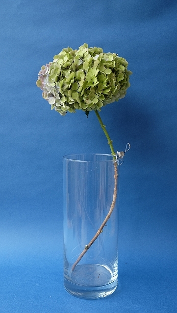 Dry plants for decor ユーカリシンプルスワッグ2点、ユーカリリース1点、ドライアジサイ2点UPしました。