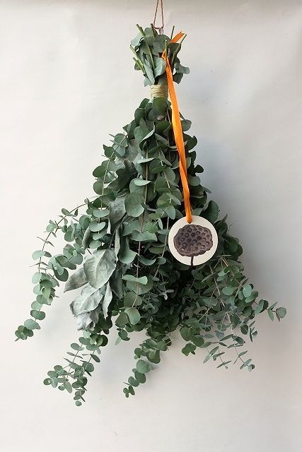 Dry plants for decor ユーカリ2種シンプルスワッグ1点UPしました。