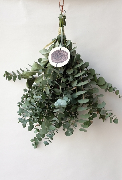 Dry plants for decor ユーカリ2種シンプルスワッグ1点UPしました。