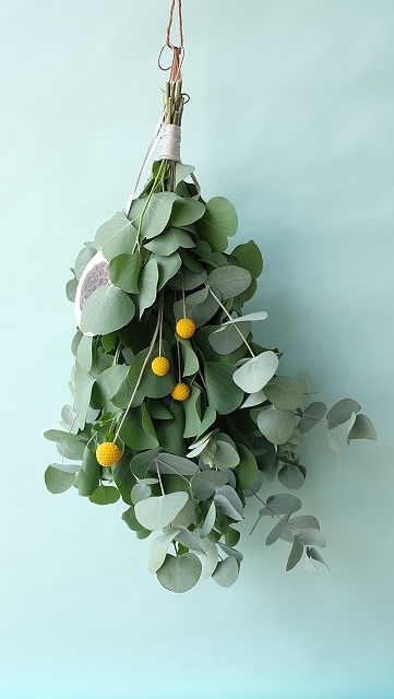 Dry plants for decor ユーカリ2種シンプルスワッグ1点UPしました。銀丸葉ユーカリ生切り枝の在庫を補充しました。