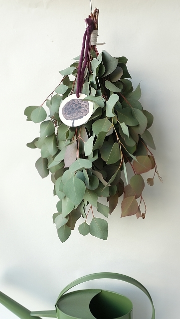 Dry plants for decor ユーカリポポラスシンプルスワッグ - 流木素材 ...