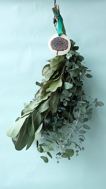 Dry plants for decor ユーカリ2種シンプルスワッグ