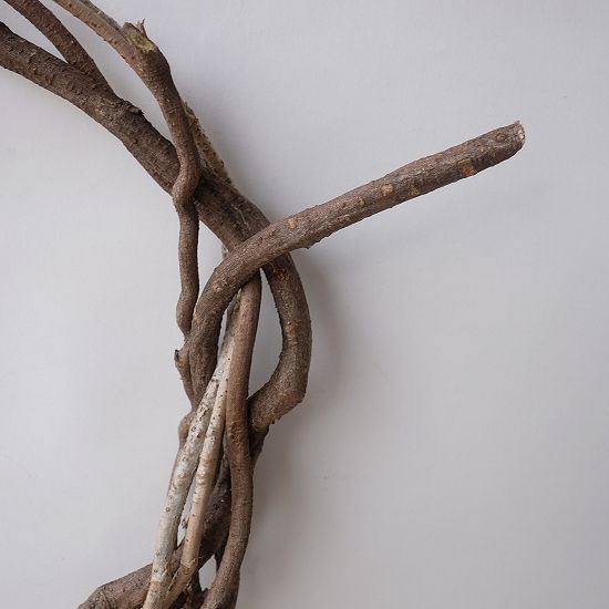 Dry plants for decorリース用かずら - 流木素材市場 阿波遊木 Dry plants for decorリース用かずら - 流木素材市場 阿波遊木